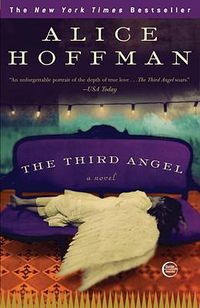 Cover image for The Third Angel: A Novel