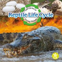 Cover image for Reptile Life Cycle