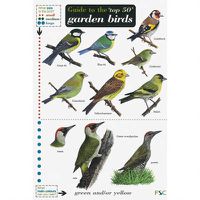 Cover image for Guide to the Top 50 Garden Birds