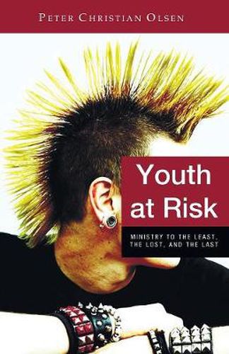 Cover image for Youth at Risk