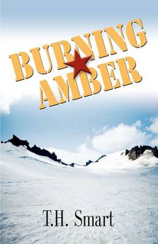 Cover image for Burning Amber