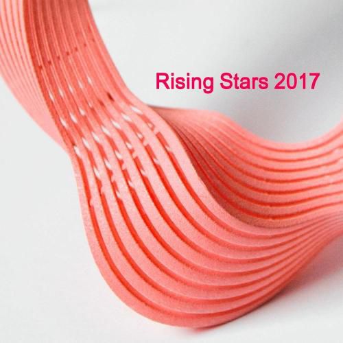 Cover image for Rising Stars 2017