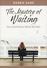 Cover image for The Mystery of Waiting
