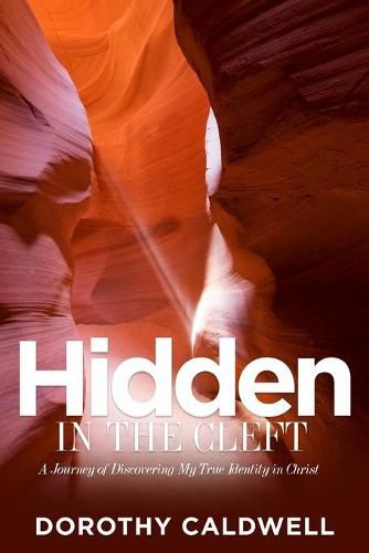 Cover image for Hidden in the Cleft