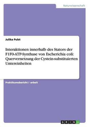 Cover image for Interaktionen innerhalb des Stators der F1F0-ATP-Synthase von Escherichia coli: Quervernetzung der Cystein-substituierten Untereinheiten