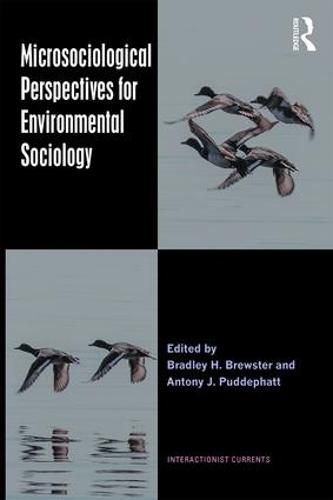 Microsociological Perspectives for Environmental Sociology