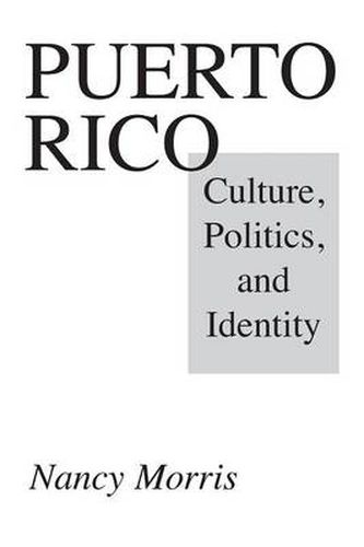 Cover image for Puerto Rico: Culture, Politics, and Identity