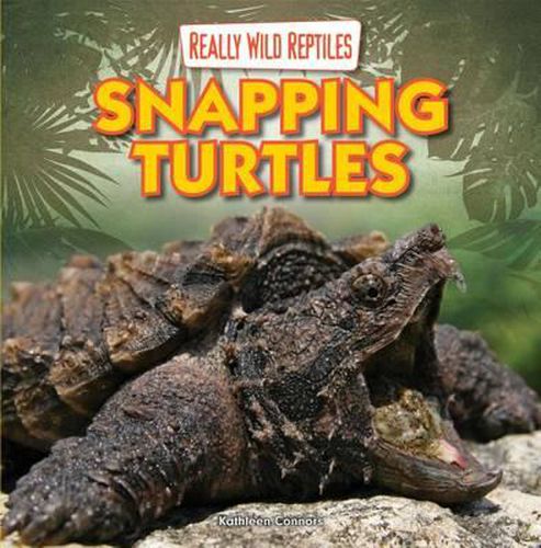 Cover image for Snapping Turtles