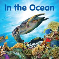 Cover image for In the Ocean: Board book