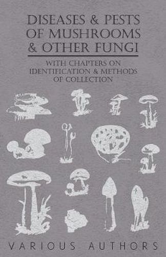 Cover image for Diseases and Pests of Mushrooms and Other Fungi - With Chapters on Disease, Insects, Sanitation and Pest Control