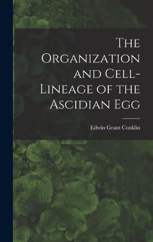 Cover image for The Organization and Cell-lineage of the Ascidian Egg