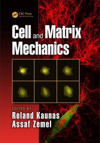 Cover image for Cell and Matrix Mechanics