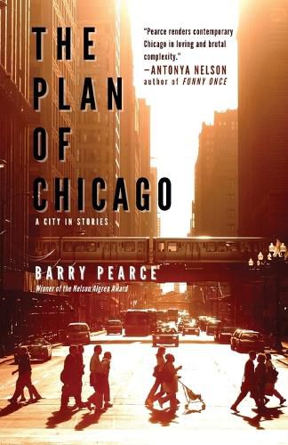 Cover image for The Plan of Chicago