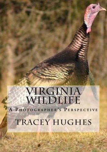 Cover image for Virginia Wildlife: A Photographer's Perspective