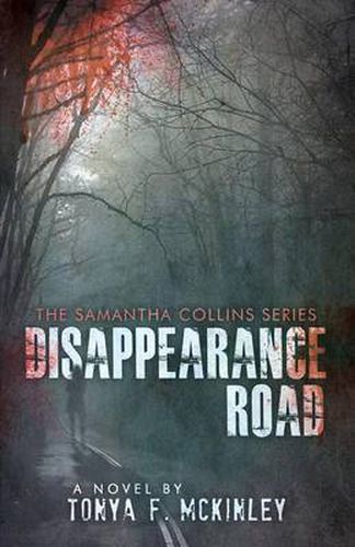 Cover image for Disappearance Road: The Samantha Collins Series