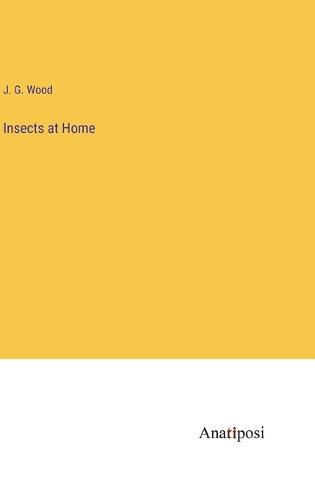 Cover image for Insects at Home