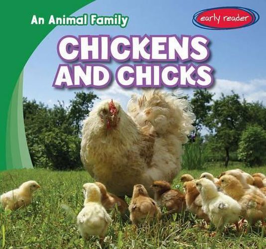 Cover image for Chickens and Chicks