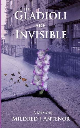 Cover image for The Gladioli Are Invisible