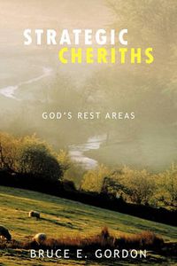 Cover image for Strategic Cheriths