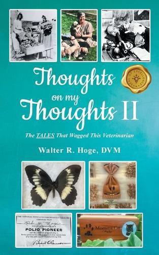 Cover image for Thoughts on my Thoughts II