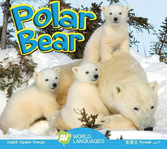 Cover image for Polar Bear