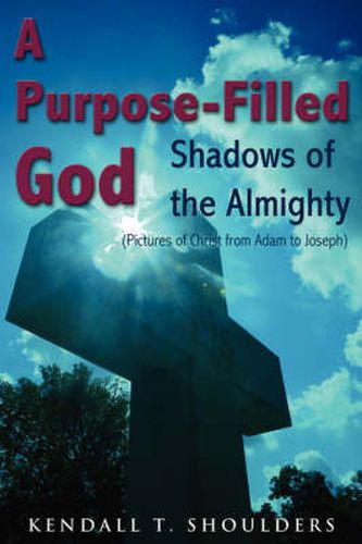 Cover image for A Purpose-Filled God: Shadows of the Almighty