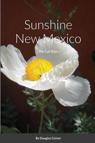 Cover image for Sunshine New Mexico