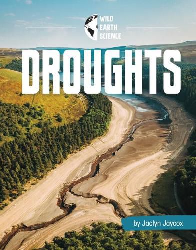 Cover image for Droughts