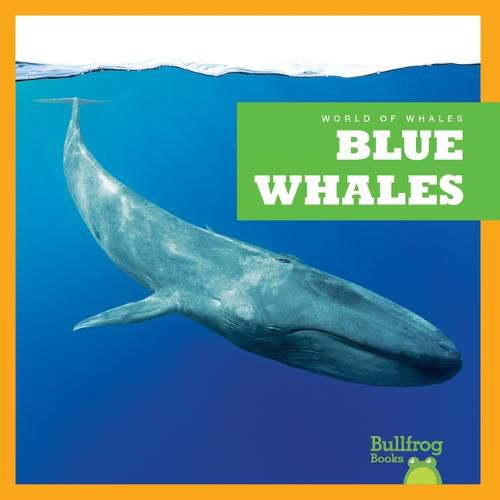 Cover image for Blue Whales