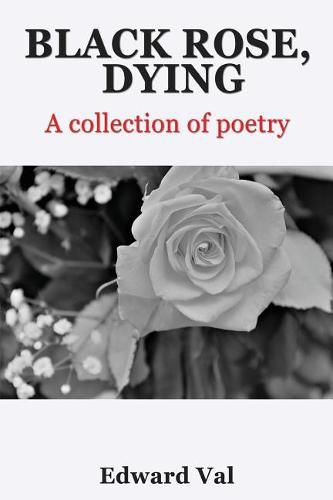 Cover image for Black Rose, Dying: A Collection Of Poetry