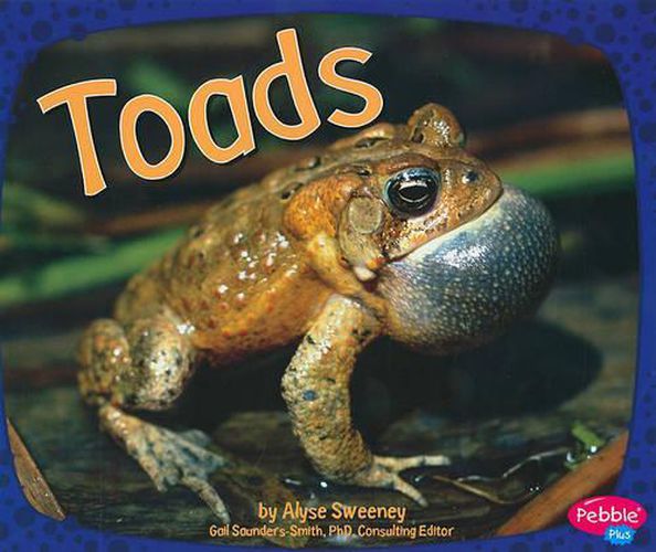 Cover image for Toads (Amphibians)