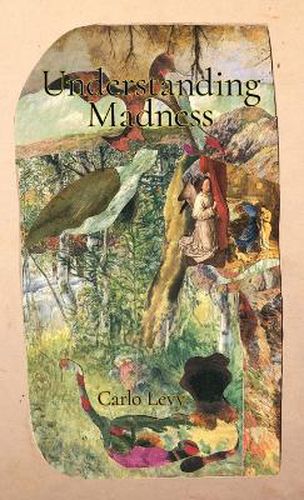 Cover image for Understanding Madness