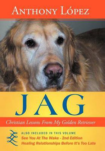 Cover image for Jag