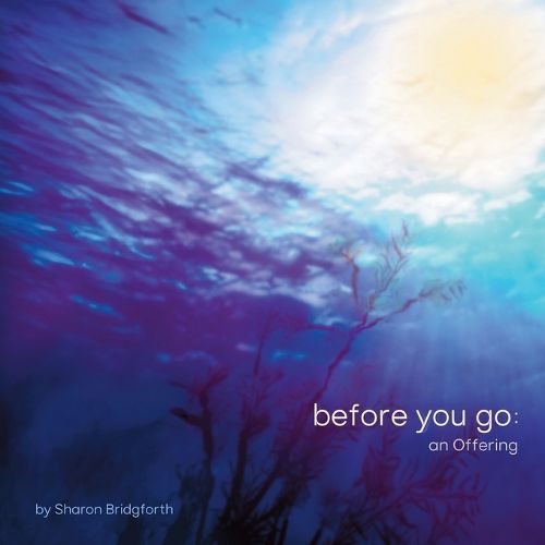 Cover image for before you go