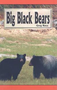 Cover image for Big Black Bears