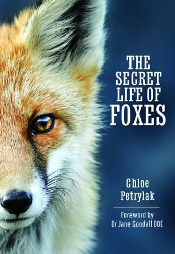 Cover image for The Secret Life of Foxes