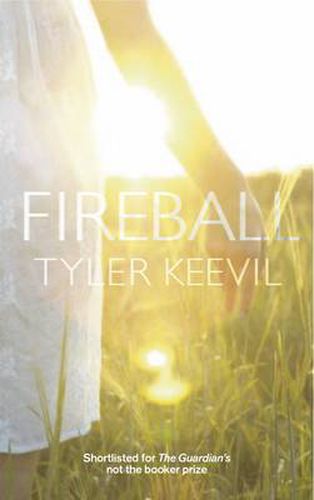 Cover image for Fireball