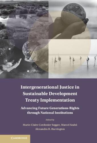 Cover image for Intergenerational Justice in Sustainable Development Treaty Implementation: Advancing Future Generations Rights through National Institutions