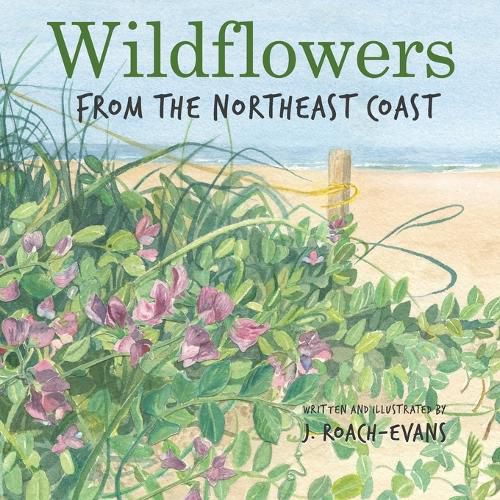 Cover image for Wildflowers