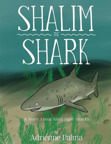 Cover image for Shalim the Shark