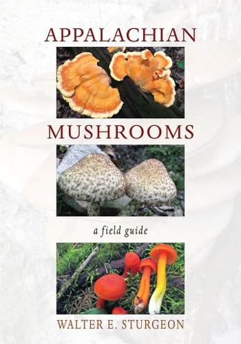 Cover image for Appalachian Mushrooms: A Field Guide