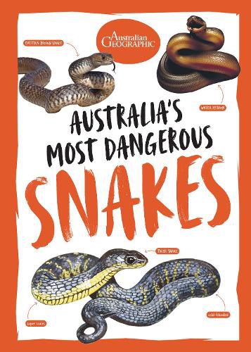 Cover image for Australia's Most Dangerous Snakes
