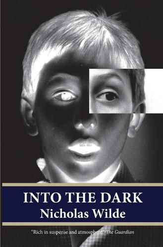 Cover image for Into the Dark