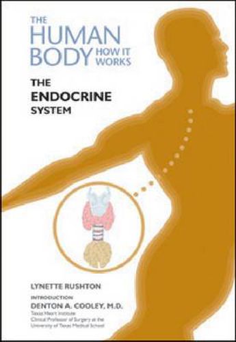 Cover image for The Endocrine System