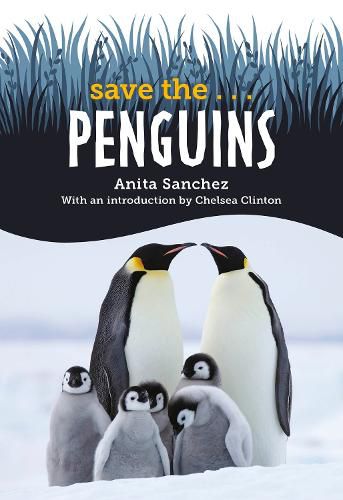 Cover image for Save the... Penguins