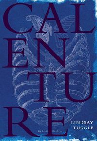 Cover image for Calenture