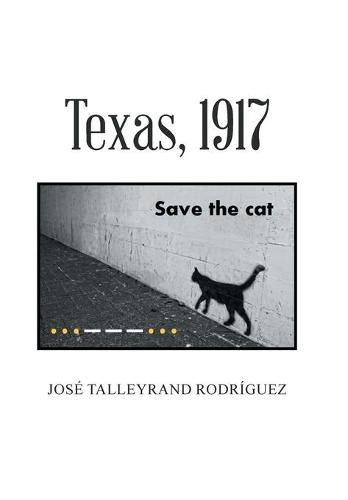 Cover image for Texas, 1917