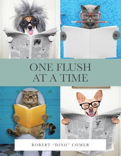 Cover image for One Flush at a Time