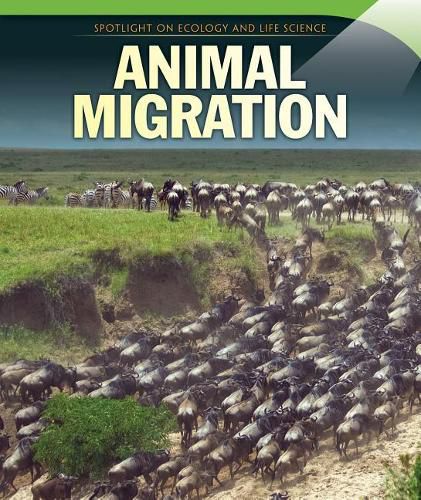 Cover image for Animal Migration