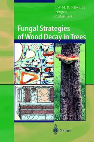 Cover image for Fungal Strategies of Wood Decay in Trees